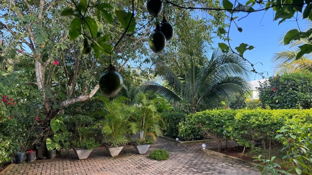 Minah Bungalows Nungwi Exterior photo